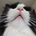 Marion Hamel - Facebook