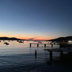 Marion Hammes - @marionhammes - Instagram