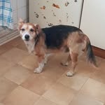 Marion Hartmann - @marion.hartmann.3998 - Instagram