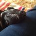 Marion Hatfield - Facebook