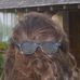 Marion Hay - Facebook