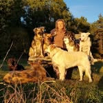 Marion Heil - @hundeheil70 - Instagram