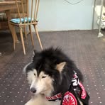 Marion Heil - Facebook