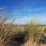 Marion Heile - @marionheile - Instagram