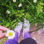 Eglantinã - @marion_herbert_ - Instagram