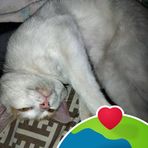 Marion Herrera - Facebook