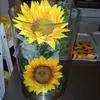 Marion Haesler - @marion.haesler - TikTok