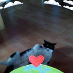 Marion Hessler - Facebook