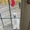 Marion Holderied - @marionholderied - TikTok