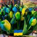Marion Jensen - Facebook