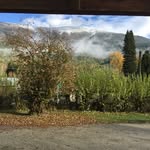 Marion Johnston - @kokaneehome - Instagram