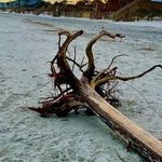 Marion B Joiner - @mthree2u - Instagram