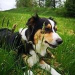 Marion Kaiser - @marion_kaiser84 - Instagram
