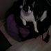 Marion Kaiser - Facebook