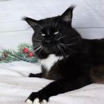 Marion Kaiser - @lisa.kaiser.77964 - Instagram