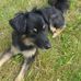 Marion Kaiser - Facebook
