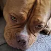 Marion Kaiser - @marion.kaiser4 - TikTok