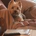 Marian Keene - Facebook