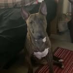 @marion_kerns_ - Instagram