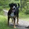 marionkessler815 - @marionkessler815 - TikTok
