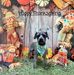 Marion Knowles - Facebook