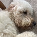Marion Knowles - @mknursery - Instagram