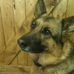 Marion Knowles - Facebook