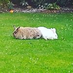 Marion Knox - @marion.knox.589 - Instagram