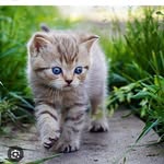 Marion Koch - @marionkoch1687 - Instagram