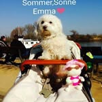 Marion Koch - @marion.koch1957 - Instagram