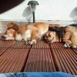 Marion Köhler - @marion110480 - Instagram