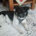 Marion Lang - Facebook