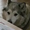 Marion Lang - @marion.lang4 - TikTok