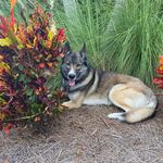 Marion Lang - @marion.lang.3192 - Instagram