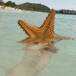 Marion Lang - @marionlang3551 - Instagram