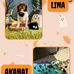 Marion Fivella Lassiter - Facebook