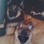 Marion lauersdorf - @lauersdorfmarion - Instagram