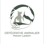 Ostéopathe pour animaux - @marionledain_osteoanimalier - Instagram