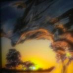 Marion Lea Tedd - Facebook