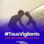 Marion Leclerc - @marion.leclerc.146 - Instagram