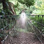Marion Leslie - @marion.leslie.7 - Instagram
