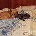 Marion Liche - Facebook
