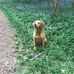 Marion Ruth Lincoln - Facebook