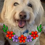 Marion Lisotto - Facebook