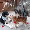 Marion Little - @marion.little38 - TikTok