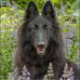 Marion Lloyd - Facebook