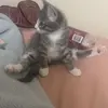 marie.lynn08 - @marie.lynn08 - TikTok