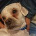 Marion Lyon - Facebook