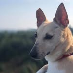 Marion MacArthur - @macarthurmarion - Instagram