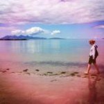 Marion Macdonald - @mazzlou - Instagram